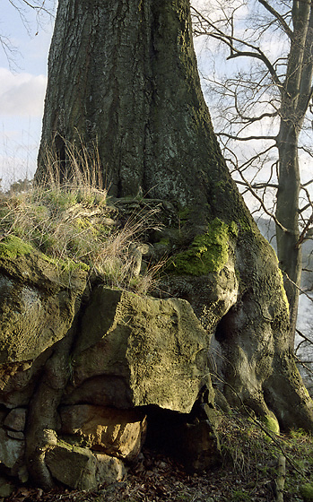 Fundament - smaller format