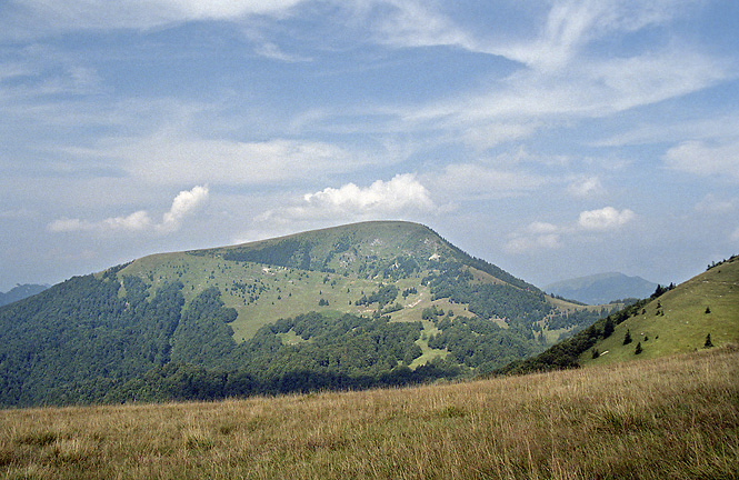 Boriov - men formt