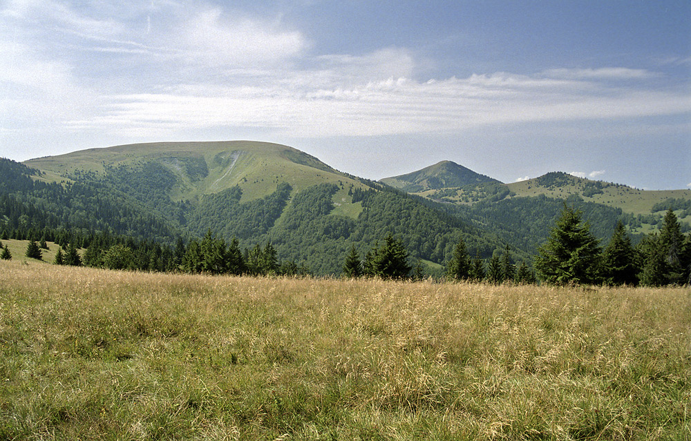 Plosk, Boriov a opro - vt formt