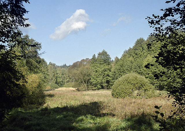 At the "Voznice creek" - smaller format