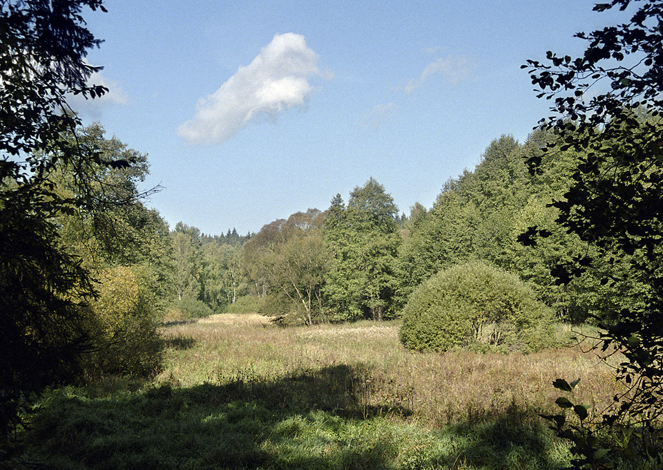 At the "Voznice creek" - larger format