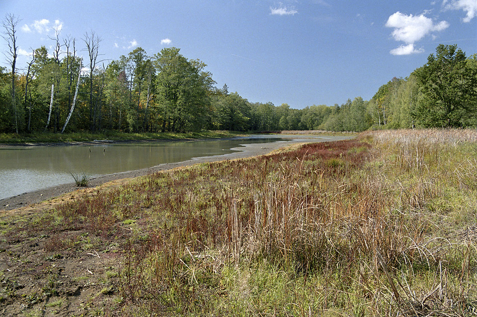 Lower "Tuim pond" - larger format