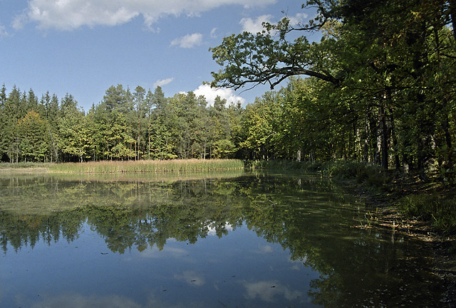 Middle "Tuim pond" - smaller format