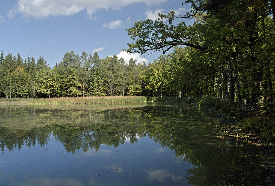 Middle "Tuim pond" - larger format
