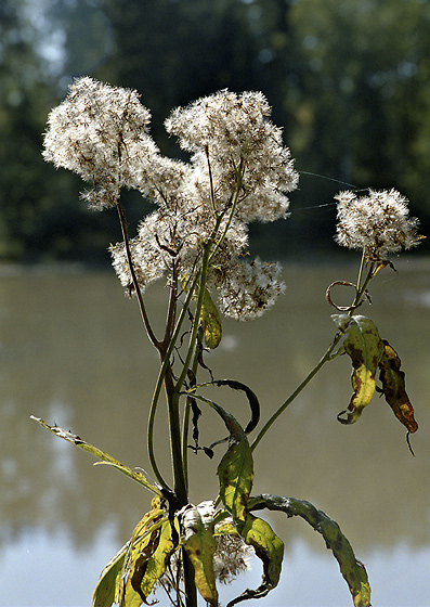 At the "Upper Tuim pond" - smaller format