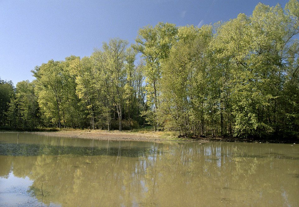 Upper "Tuim pond" - larger format