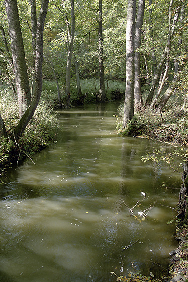 "Kocba" river - smaller format