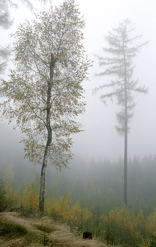 Mlha na Klku - vt formt