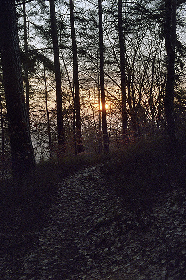 Dawn - smaller format