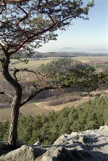 Vista from "Vlho" - smaller format