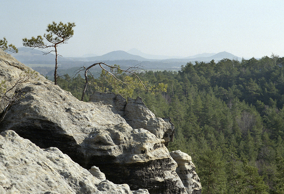 On rocky top - larger format