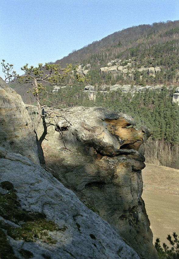 Golden promontory of th "Silver Hill" - larger format