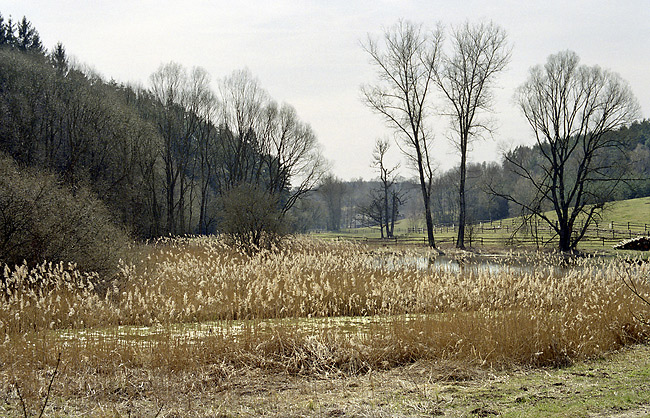 Pond near "Pavliky" - smaller format