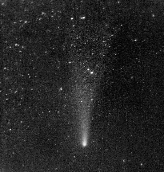 Halleyova kometa - men formt