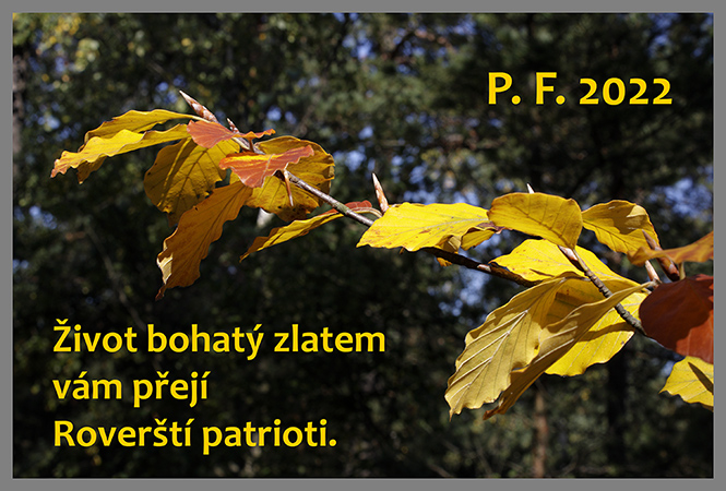 PF 2022 - men formt