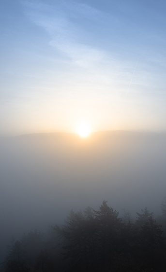 Pastel morning - smaller format