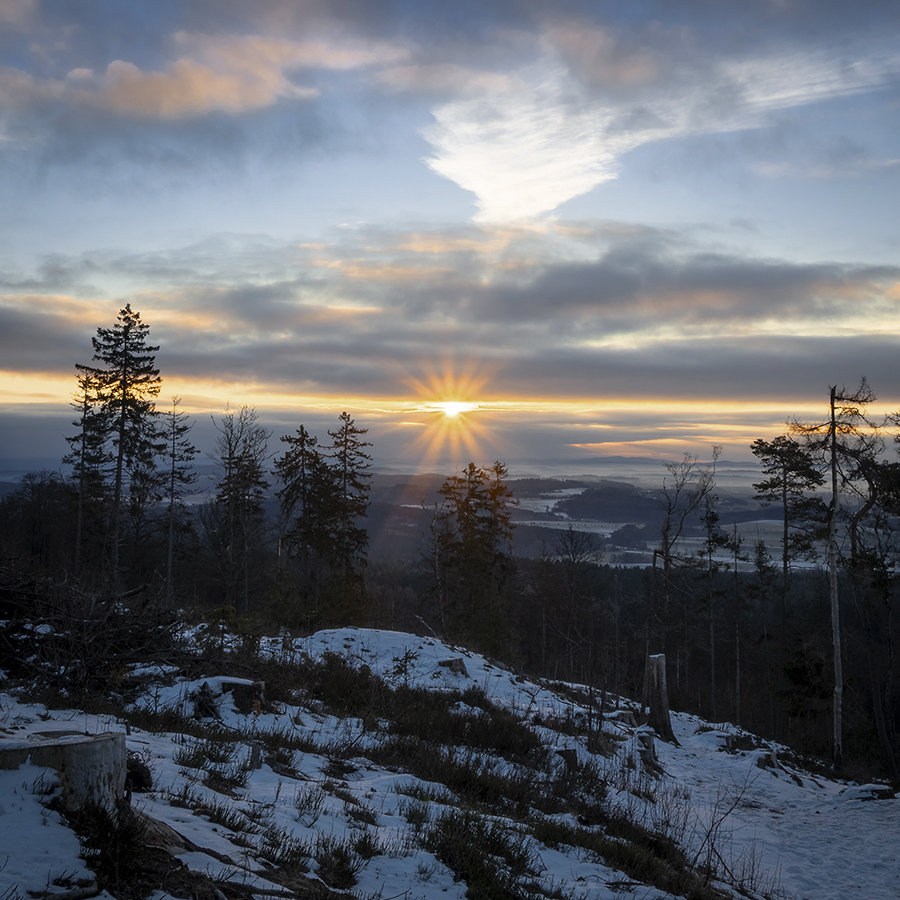 Cold morning - larger format