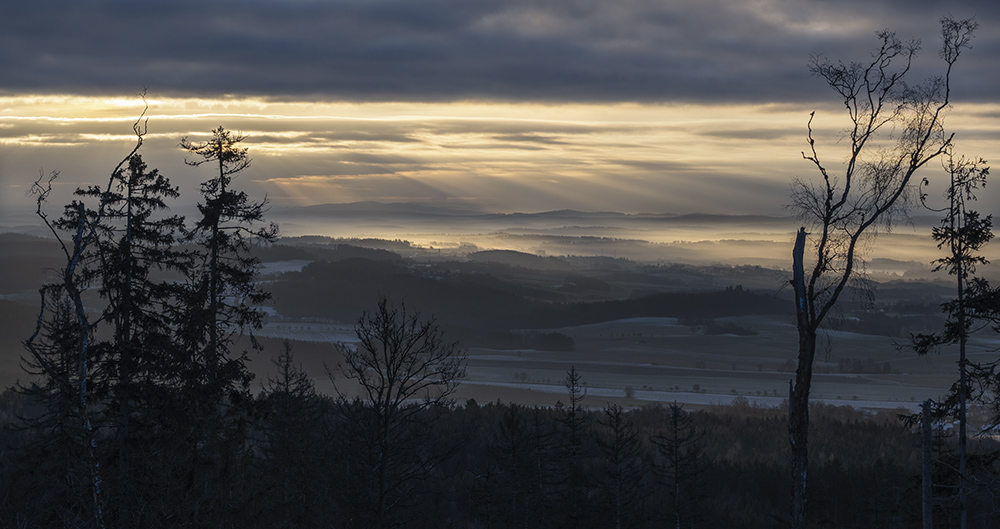 Cold morning - larger format