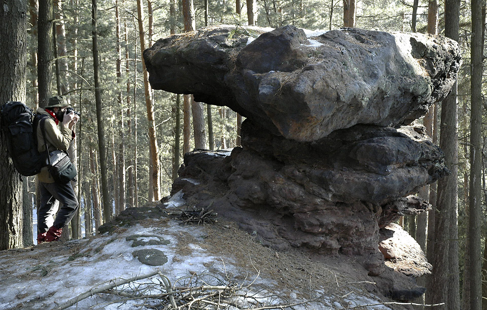 Rocky mushroom - larger format