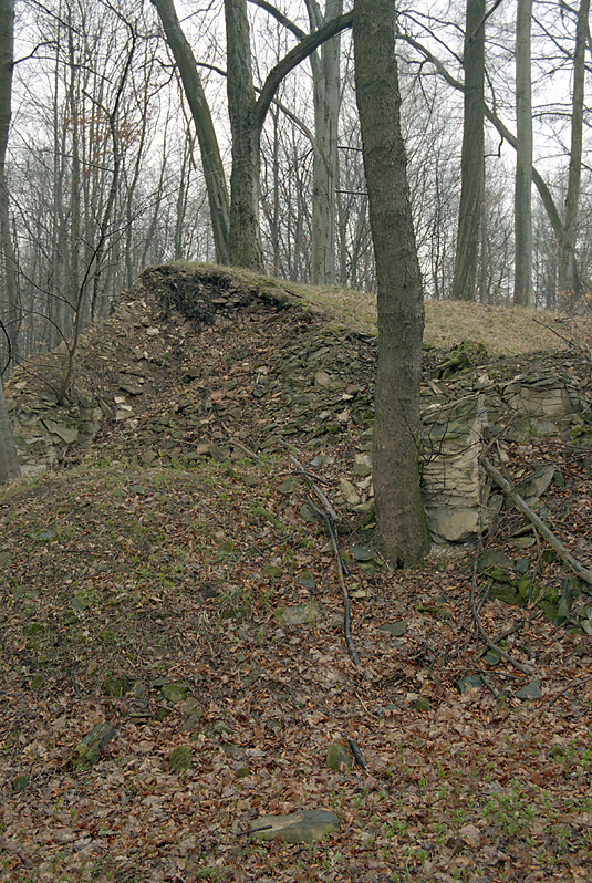  - vt formt